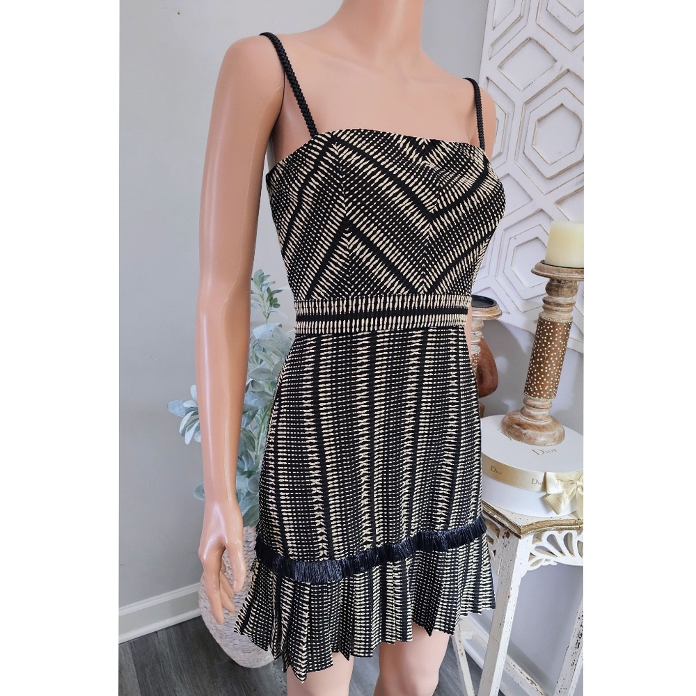 Alexis Grazie Black Beige Stripe Print Pleated Raffia Trim Mini Dress